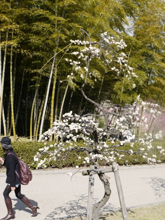 1農業センター 018.jpg