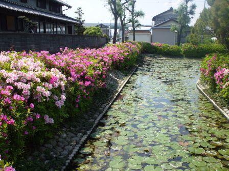 090428浅野公園 015.jpg