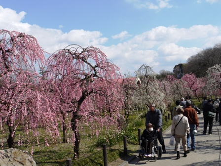 1農業センター 019.jpg