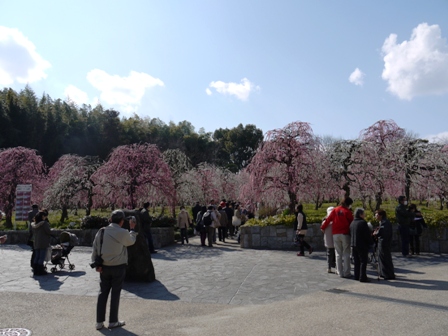 1農業センター 021入り口.jpg