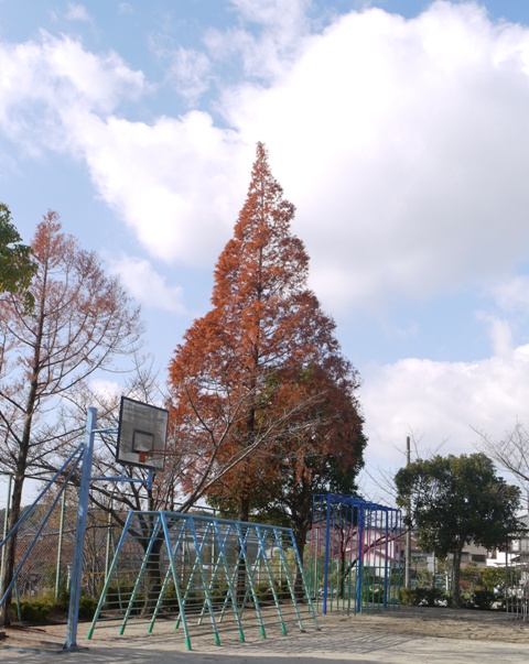 12月6日 002岩西.jpg