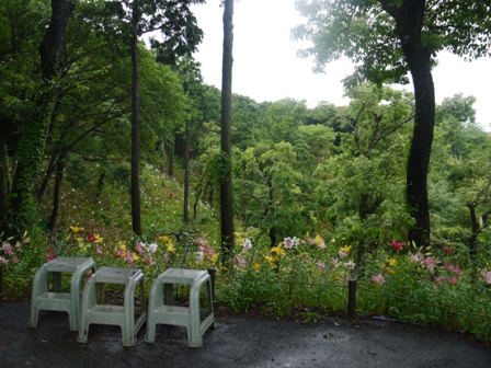 a可睡ゆりの園 13山6台.jpg