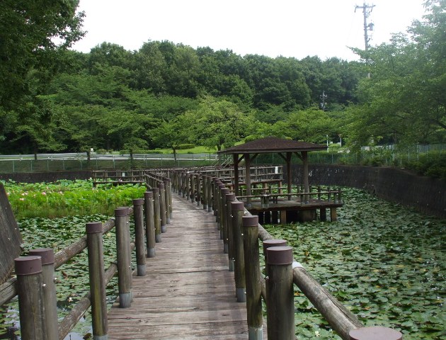 090711蓮池09.jpg