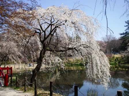 090330森林公園 003.jpg