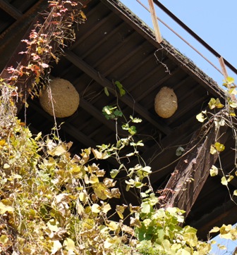 01定光寺1 001.jpg