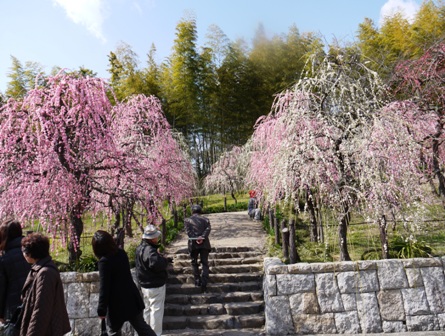 1農業センター 014.jpg