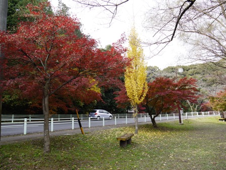 1公園2.jpg