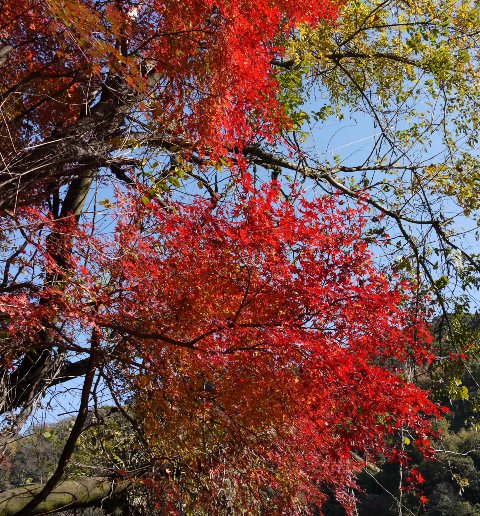 05定光寺1 014.jpg