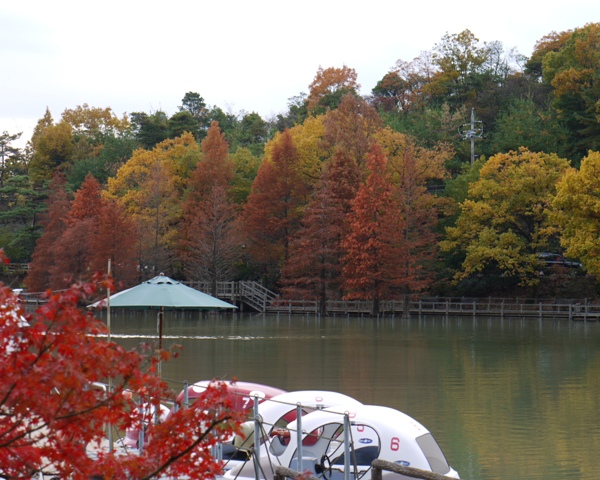 1池02 ボート.jpg