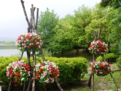 a山野草 入り口.jpg