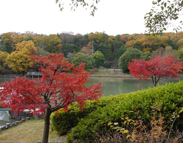 1池03 ボート.jpg