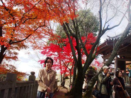 081125犬山寂光院 010.jpg