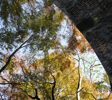 09定光寺1 013.jpg