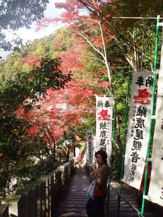 081125犬山寂光院 014.jpg