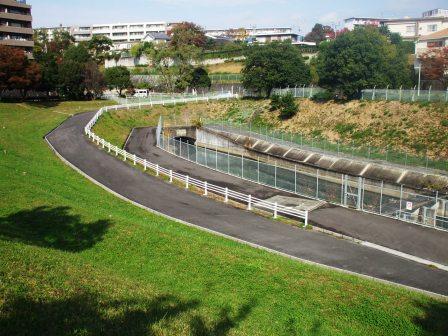 水辺公園０８１１ 4.jpg