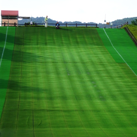 090812四季の森 055.jpg