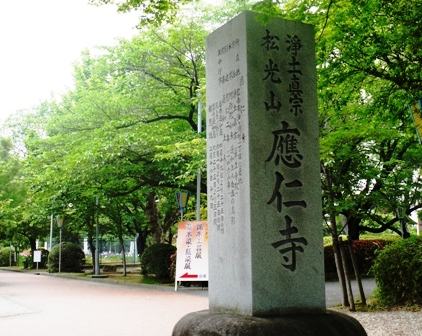 ａ花菖蒲 001応仁寺.jpg