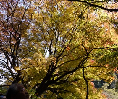 11定光寺1 009.jpg