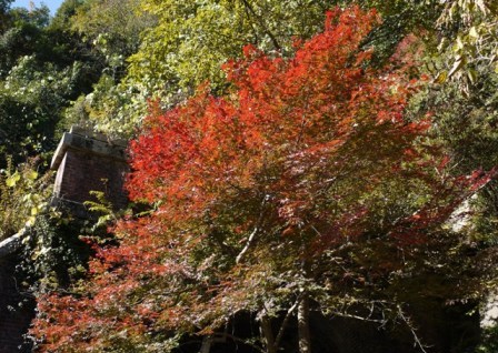 トンネル32 5号入口1.jpg