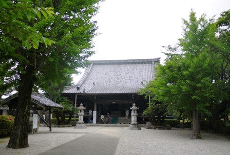 a花菖蒲 001本堂.jpg