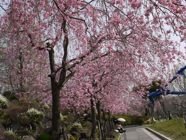 04061東谷山FP 007.jpg