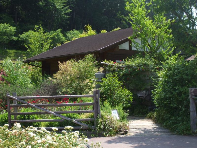 090608vターシャ 2.jpg