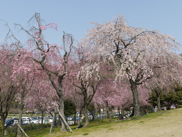 04061東谷山FP 008.jpg