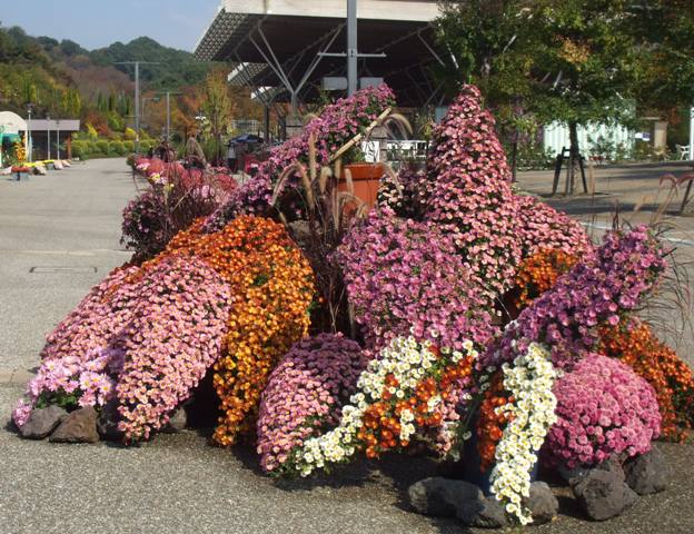 ポッポ 00西ゲ.jpg