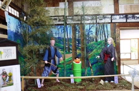 a花菖蒲 003かぐや姫.jpg