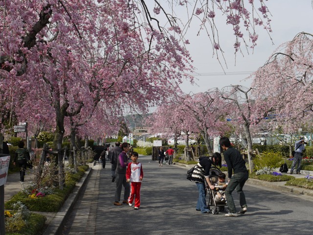 04061東谷山FP 012.jpg