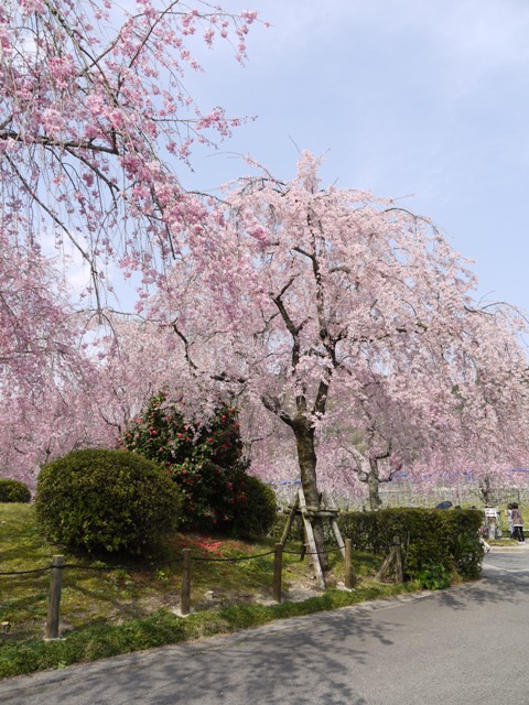 04061東谷山FP 013.jpg