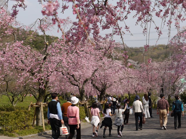 04061東谷山FP 022.jpg