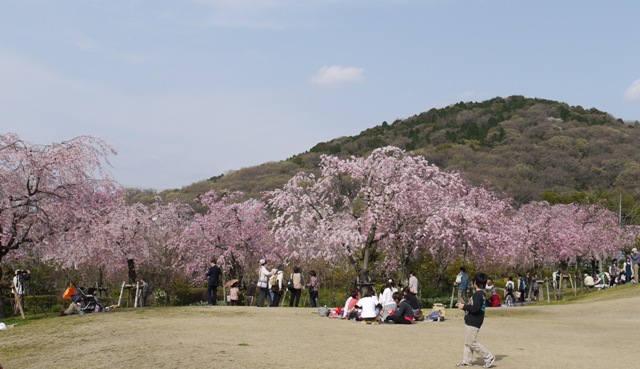 04061東谷山FP 041.jpg