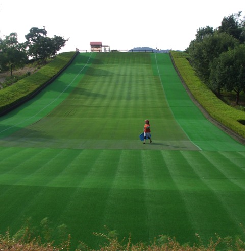 090812四季の森 064.jpg