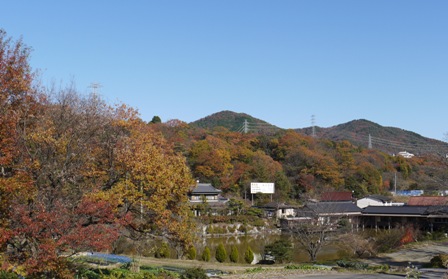 弥勒12月4日 02ゴルフ.jpg