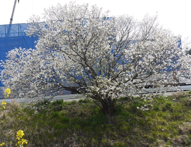 0406東谷山FP 001繁田川.jpg