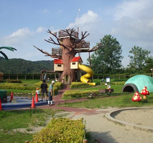 090812四季の森 069.jpg