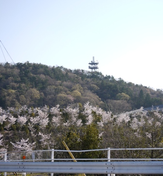 10犬山 046ＪＲ.jpg