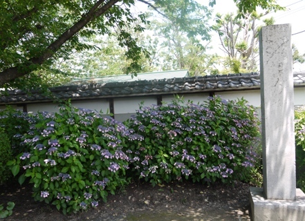 a性海寺 1入り口2.jpg