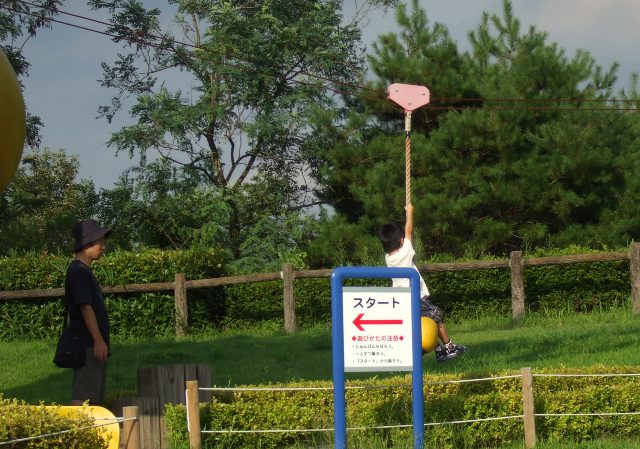 090812四季の森 073.jpg