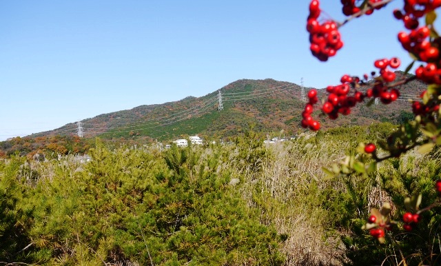 弥勒12月4日 05高森山から.jpg