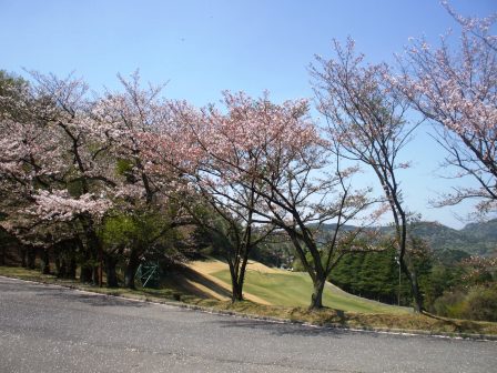 09041204定光寺4.jpg