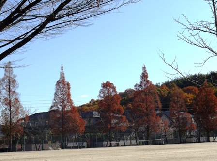 弥勒12月4日 08中央台小.jpg