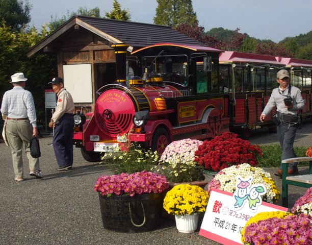 ポッポ 17花ポッポ.jpg
