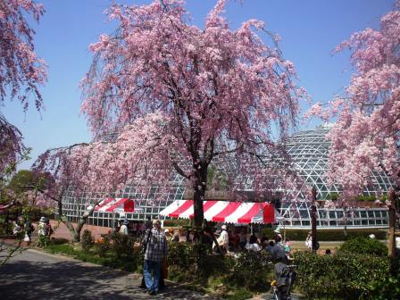 090410東谷山 温室3.jpg