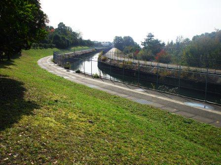 水辺公園０８１１ 5.jpg