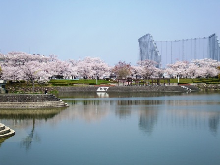 090407落合公園桜 014.jpg