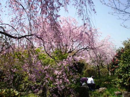 090410東谷山 昼食.jpg
