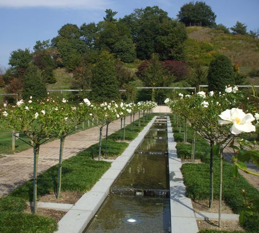 青庭2ホロ 全2.jpg