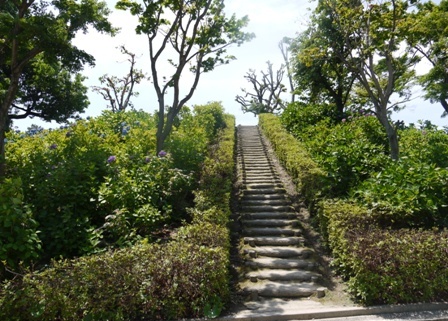 a性海寺 6階段.jpg